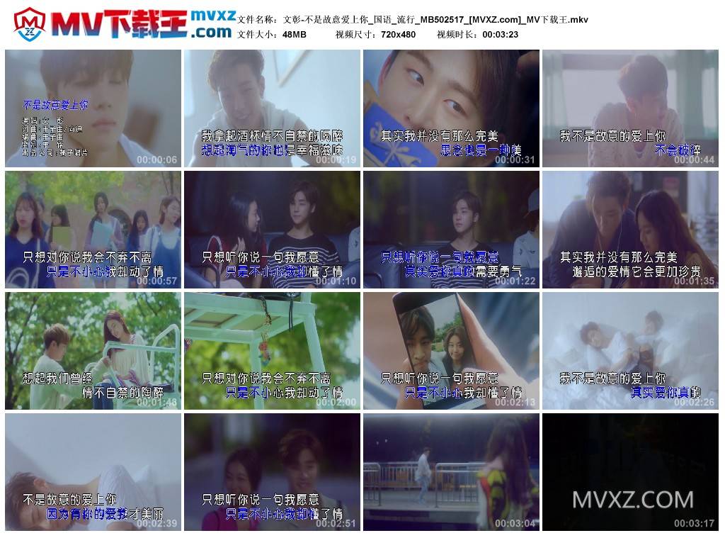 文彰-不是故意爱上你_国语_流行_MB502517